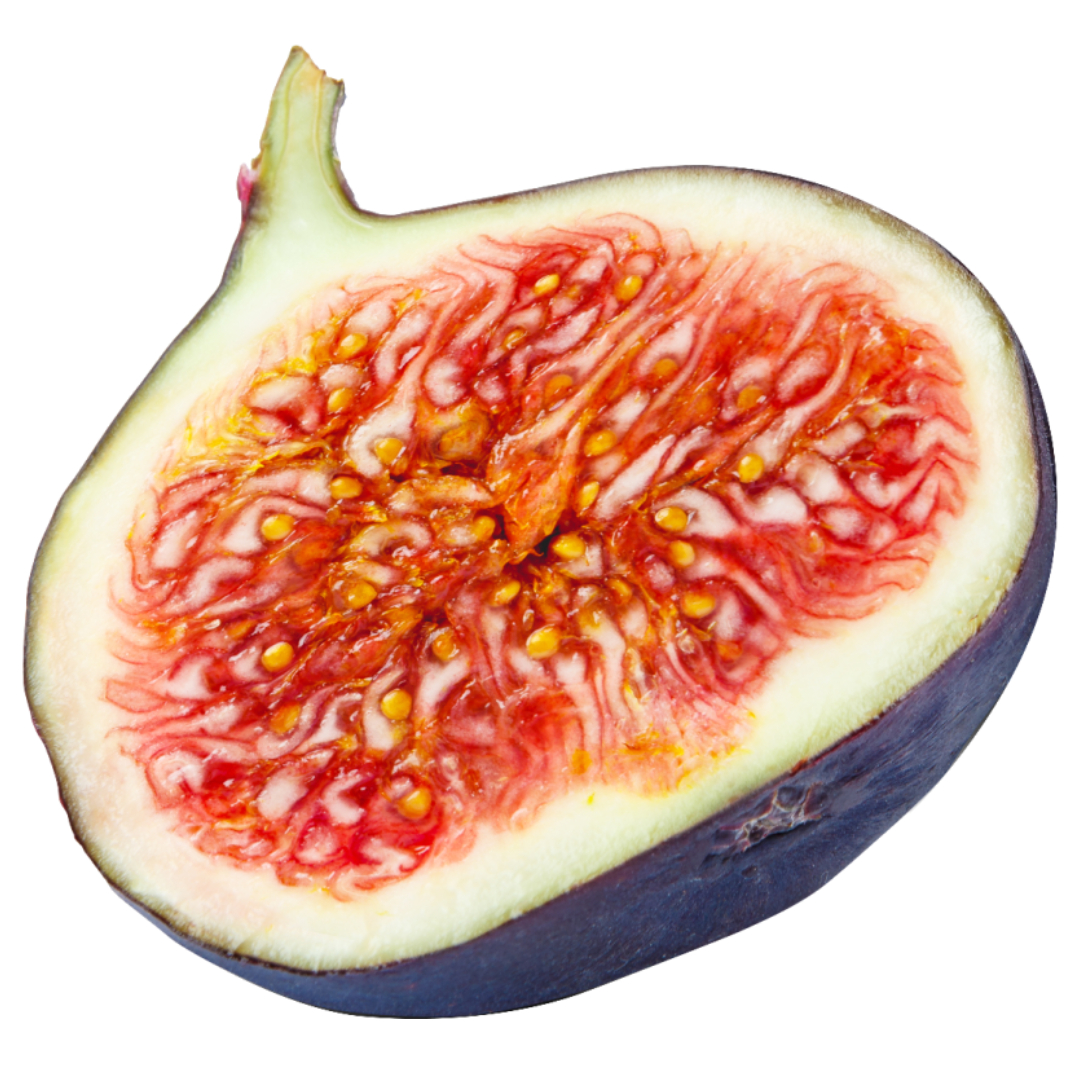 무화과와 관련된 사진입니다.