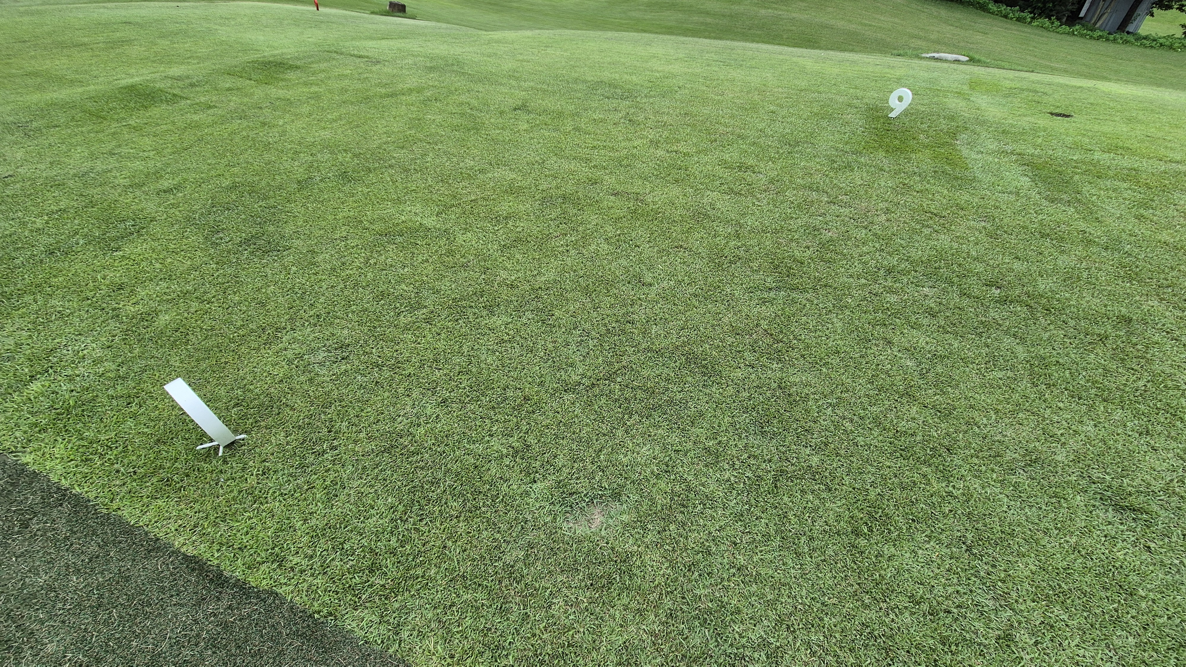 한림용인cc 다이아몬드-사파이어 코스 라운드 후기