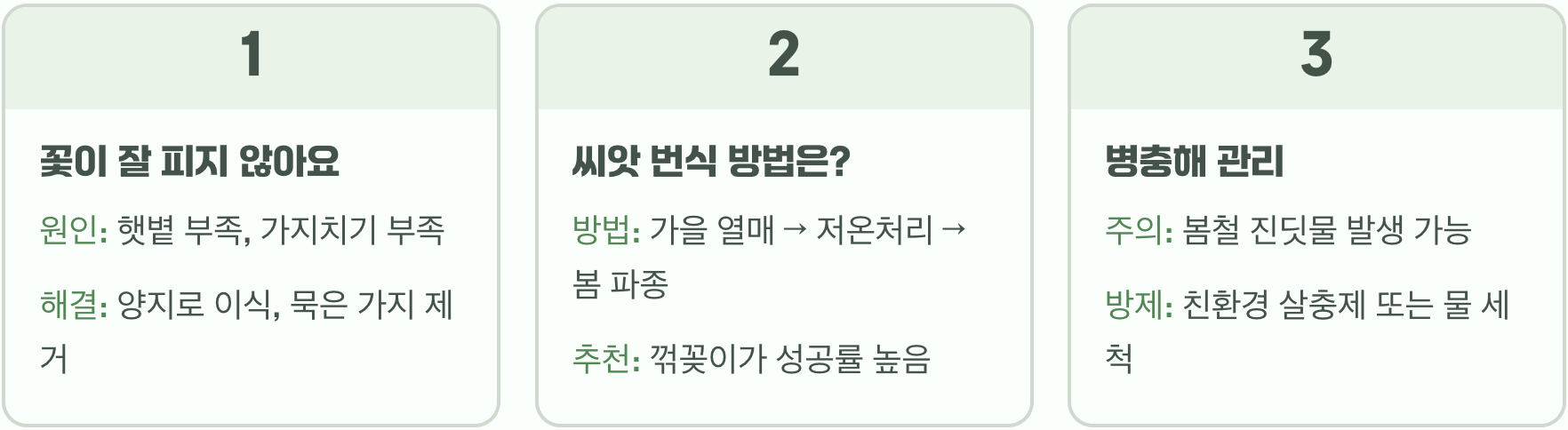 초보 정원사를 위한 찔레꽃 키우기, 씨앗 파종부터 월동까지 A to Z