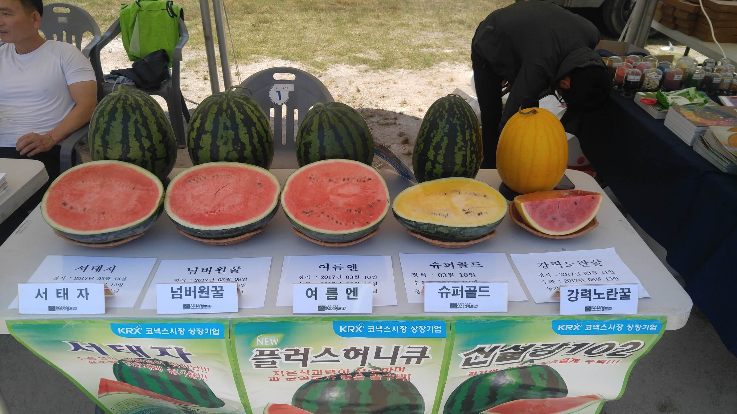 고창 복분자와 수박축제