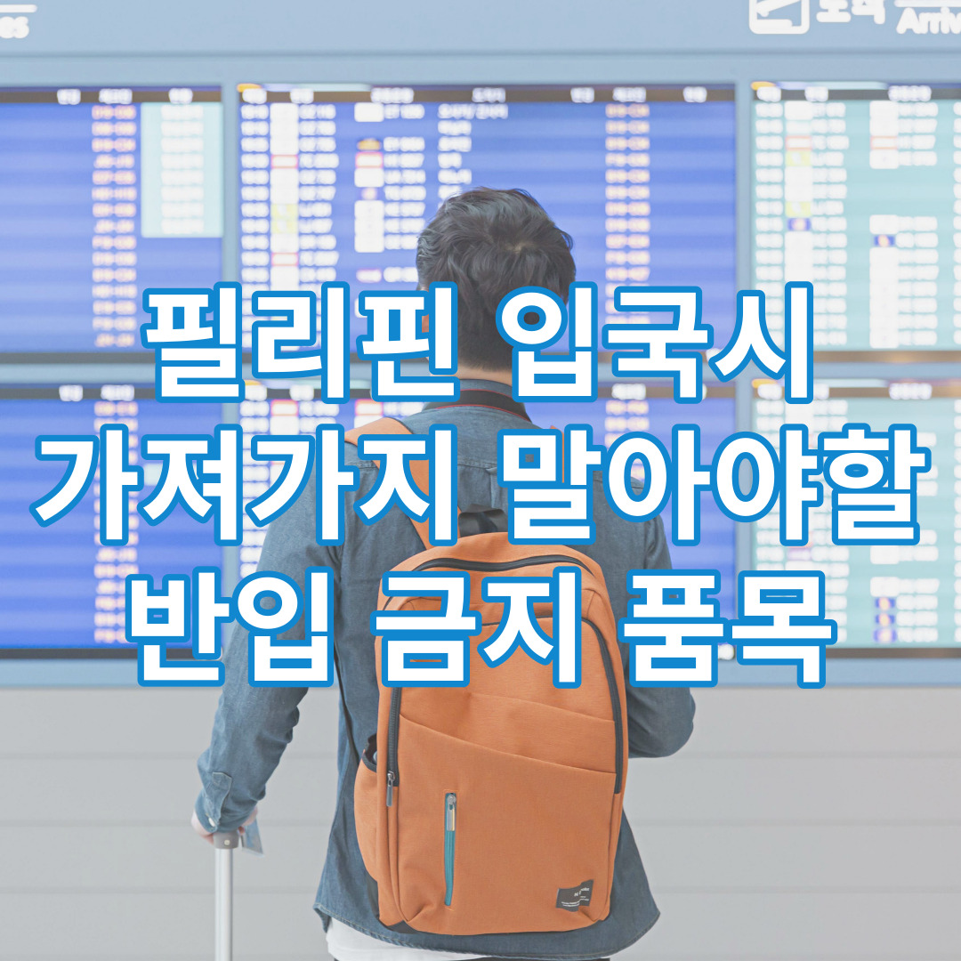 필리핀 입국 확인 사항