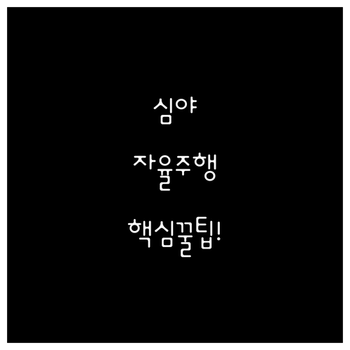 심야 자율주행 택시 이용 방법 및 예..