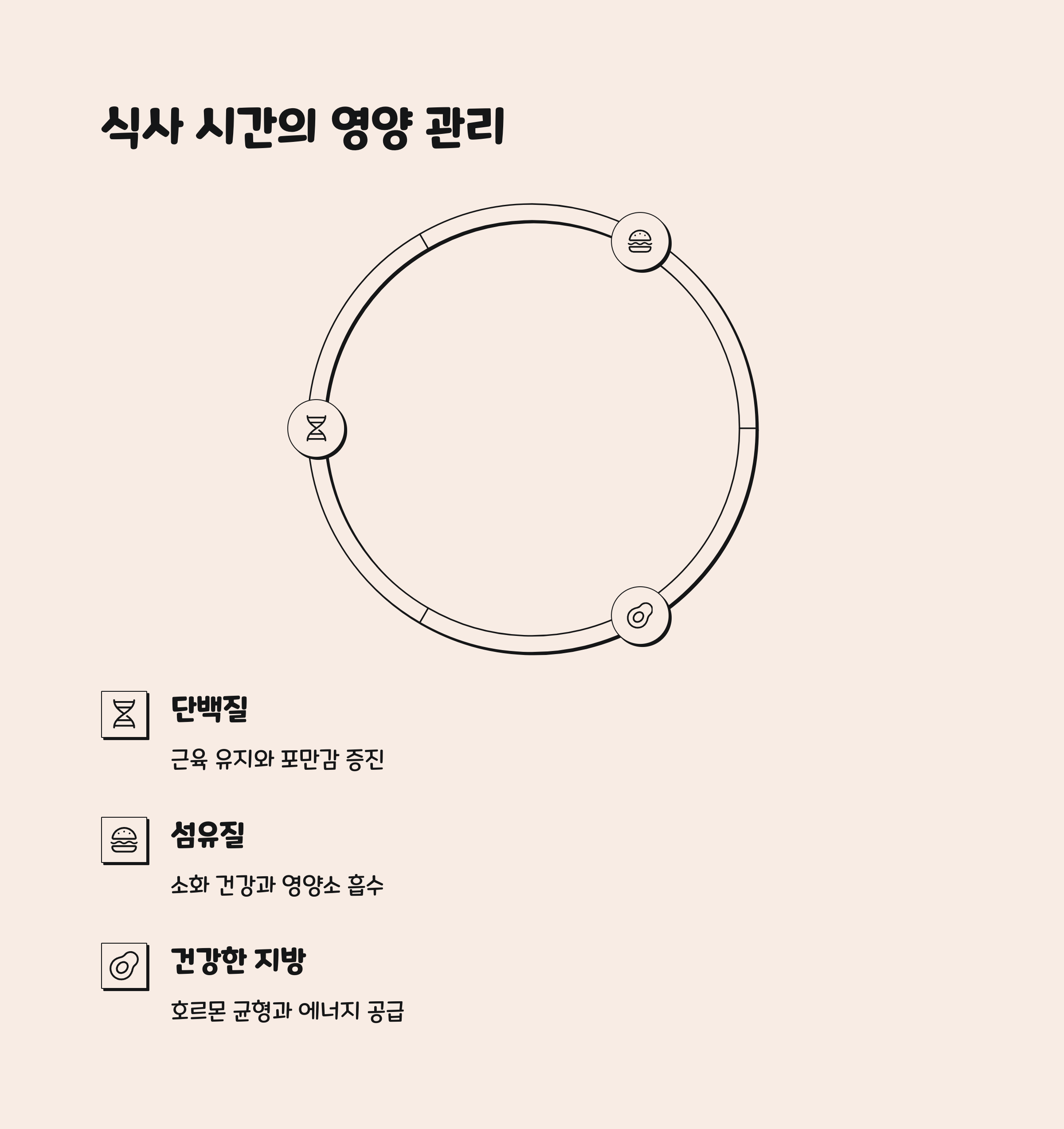 중년 이후 간헐적 단식