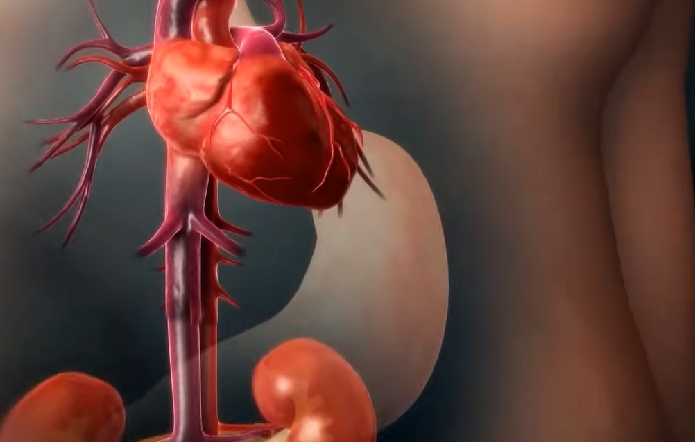 혈압 높을때 증상