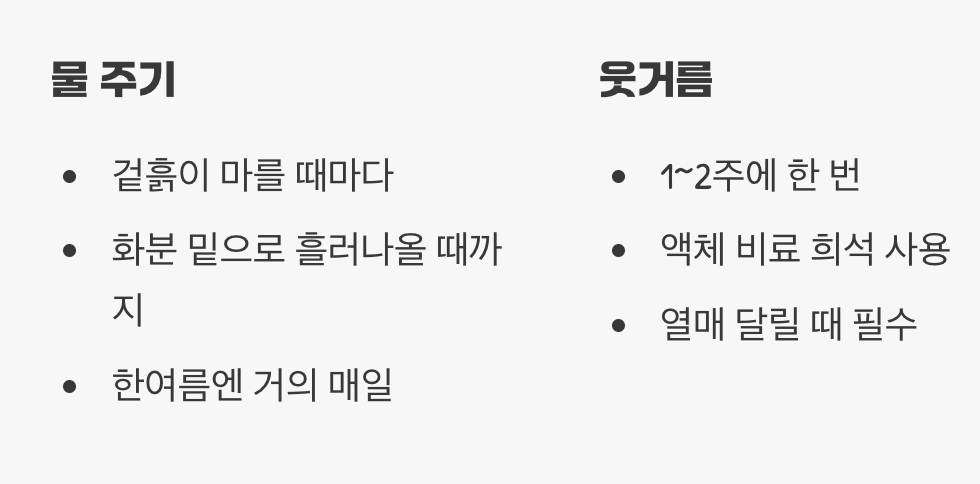 물과 양분, 튼실한 열매를 위한 식단