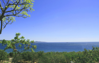 쿠팡 와우 월회비 8