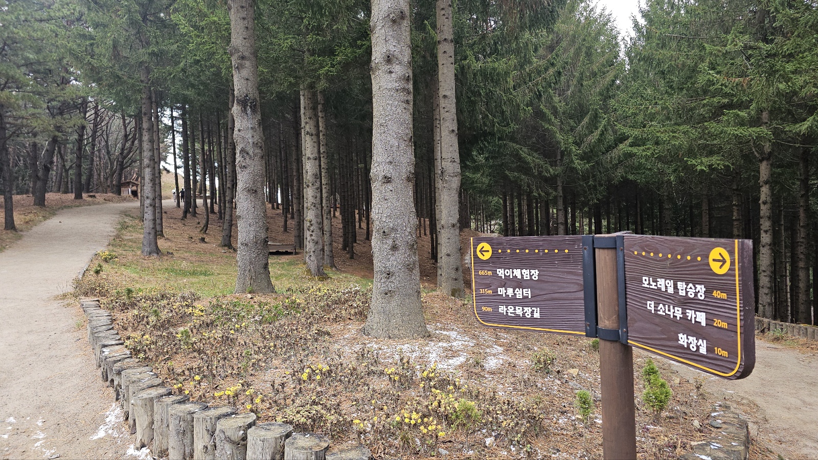 [24.11월] 아이와 평창 #1 - 모나 용평리조트 애니포레🏔️