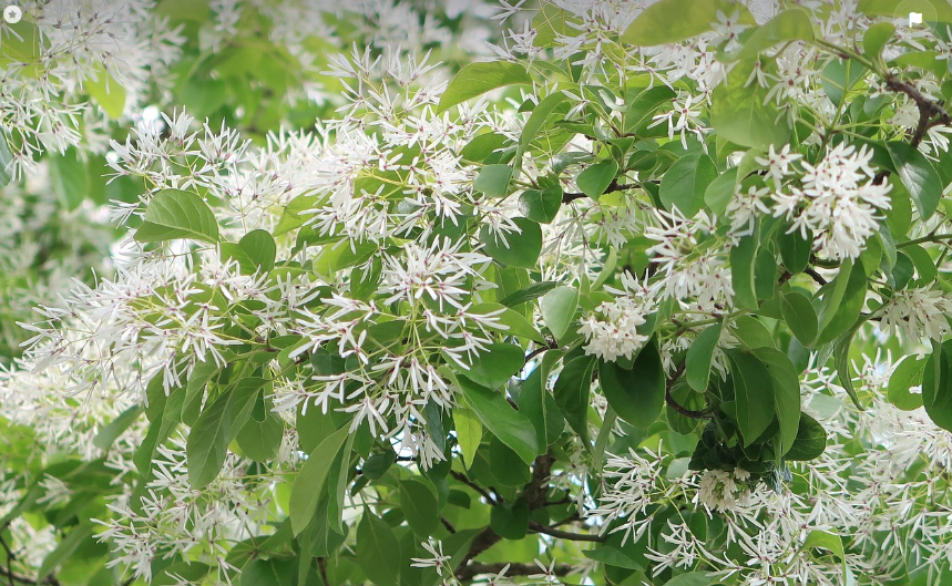 이미지삽입-픽사베이