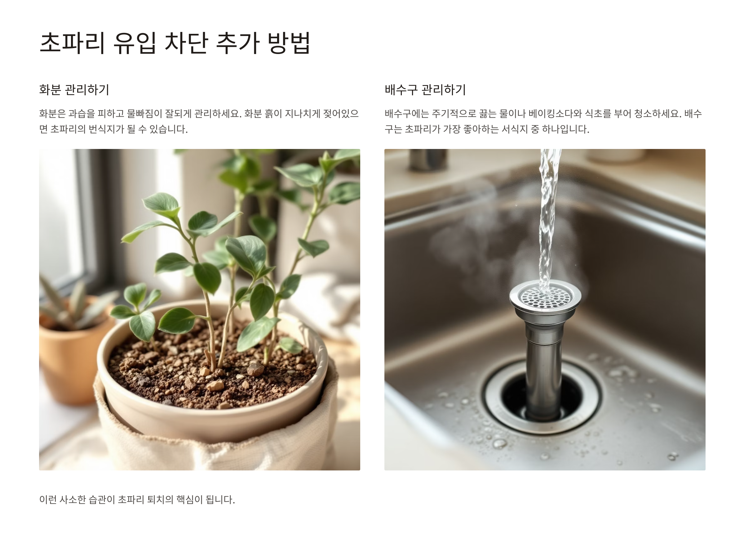 초파리 없애는 방법