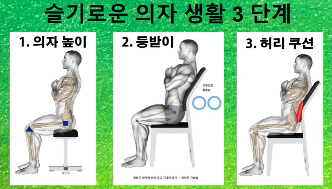 정선근-교수님-추천-의자-앉는-자세