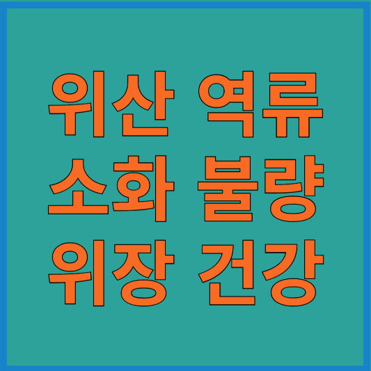 위장 건강 관리