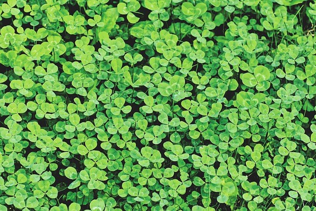 민생지원금 신청