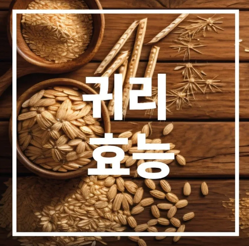 귀리 효능