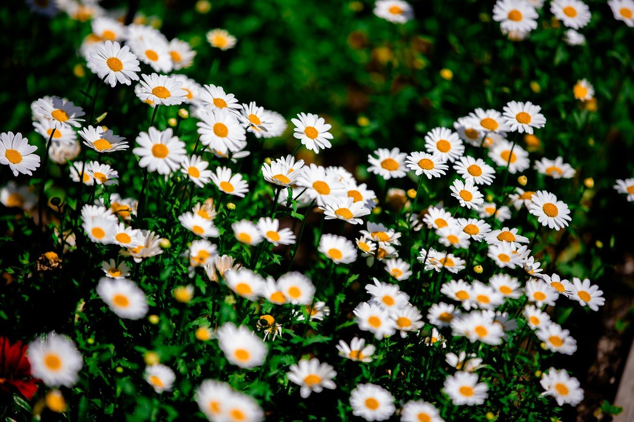 디딤돌대출 승인 안되는이유 심사탈락률 줄이는 팁 7가지