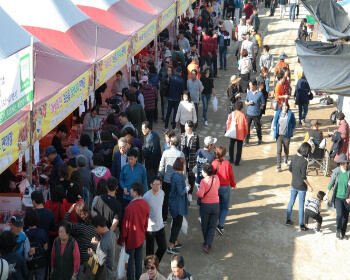보은 대추축제 일정 및 온라인 장터 소개