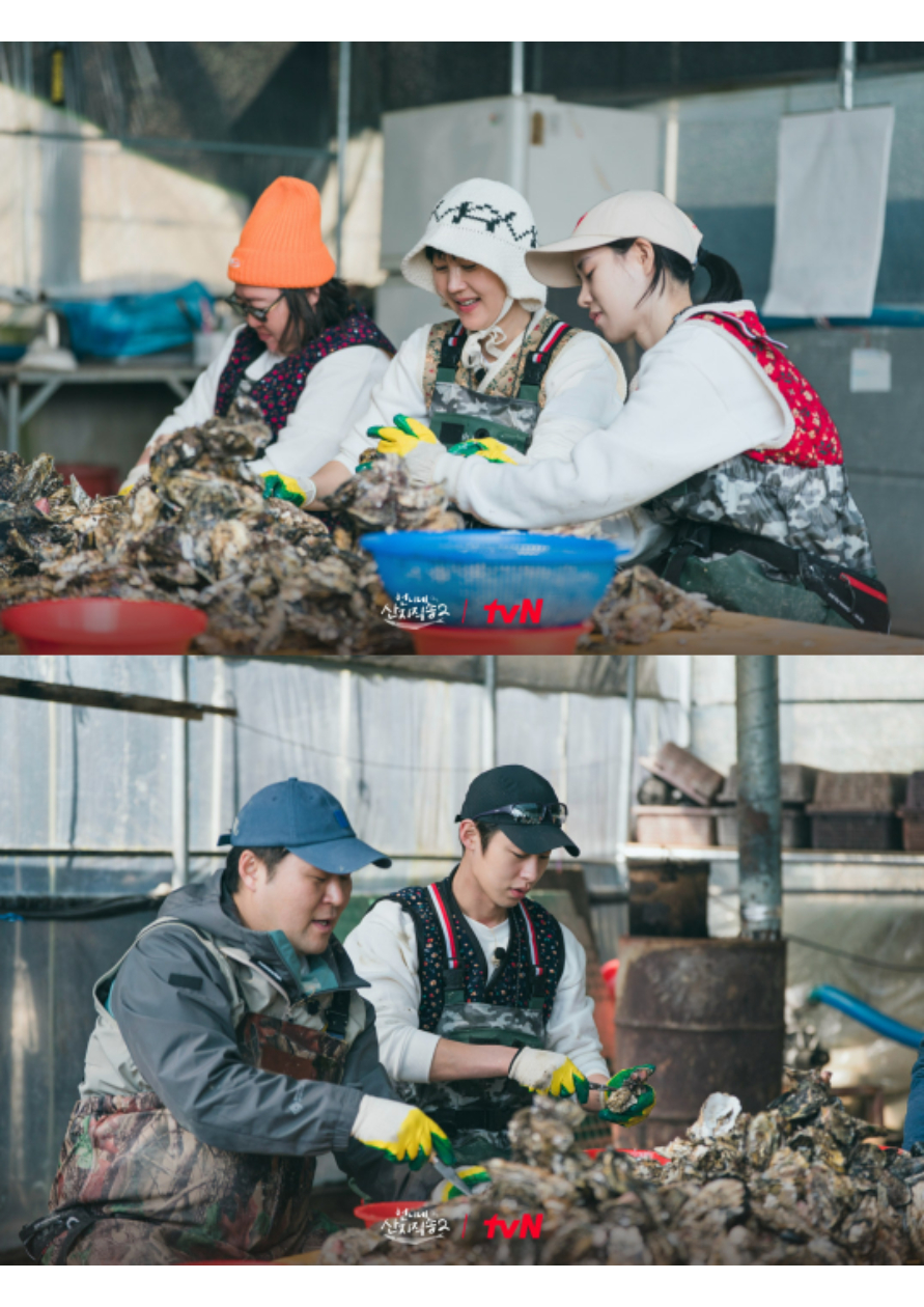 굴 조업이 한창인 산지직송 사남매