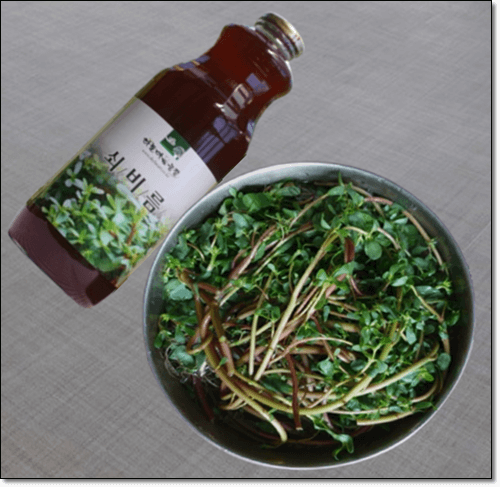 쇠비름과 쇠비름 효소