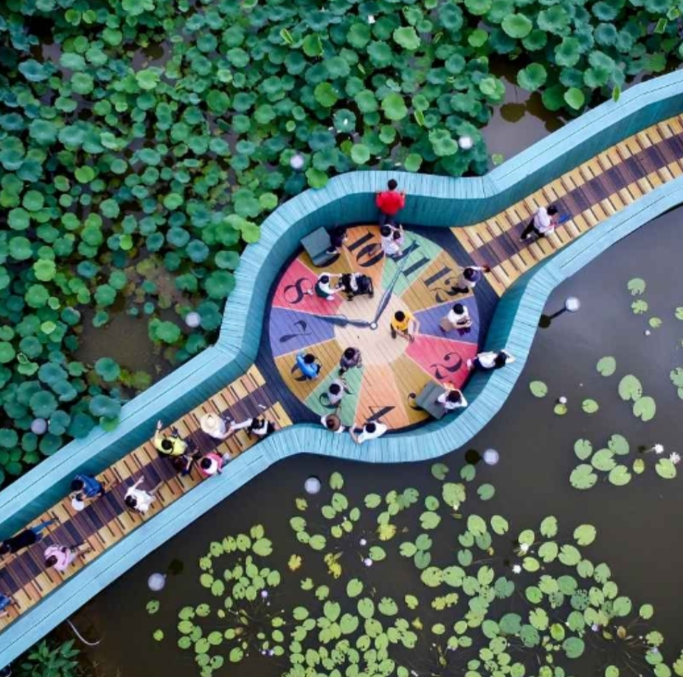 무안연꽃축제 일정 행사 정보 근처 맛집 주차장 정보