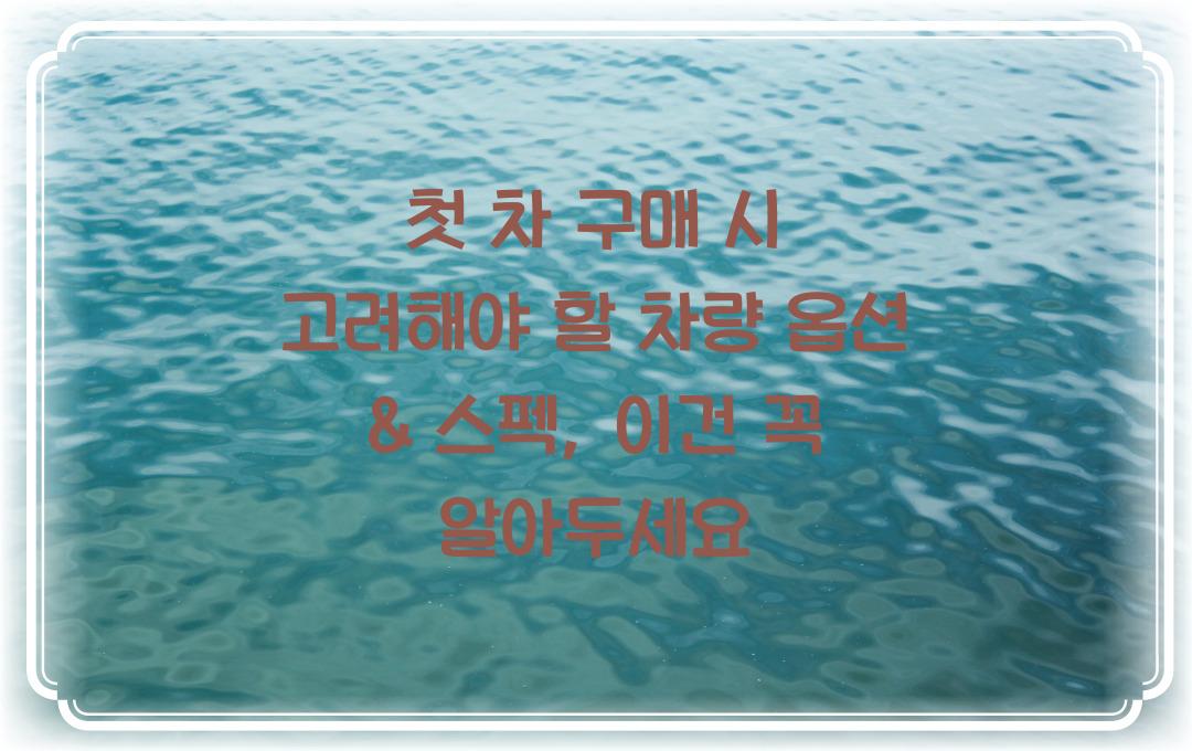 첫 차 구매 시 고려해야 할 차량 옵션 & 스펙
