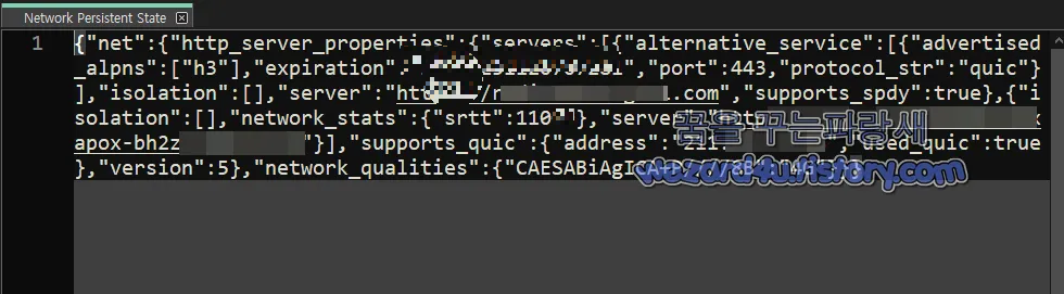 Network Persistent State 에 포함된 정보