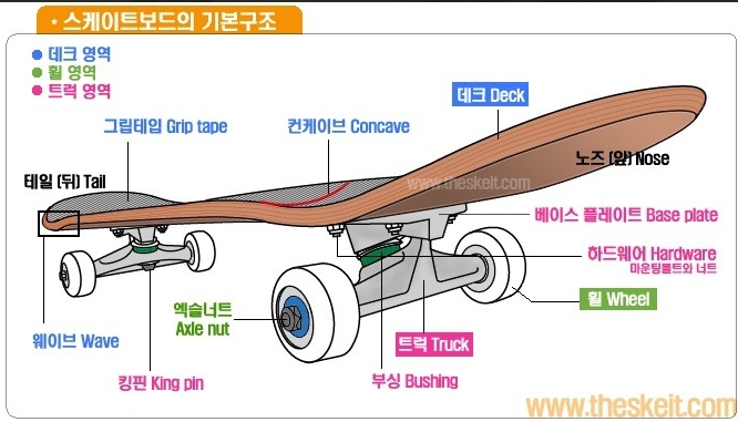 스케이트보드의 부품