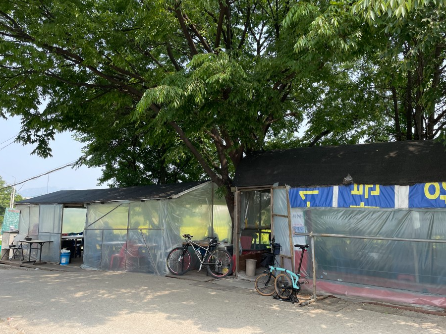 창릉천 유채꽃 축제 맛집