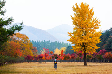 남이섬 어쿠스틱 청춘 페스티벌 총 정리