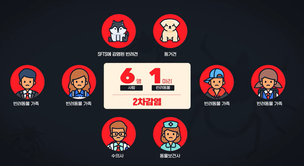 SFTS 2차 감염 설명 이미지