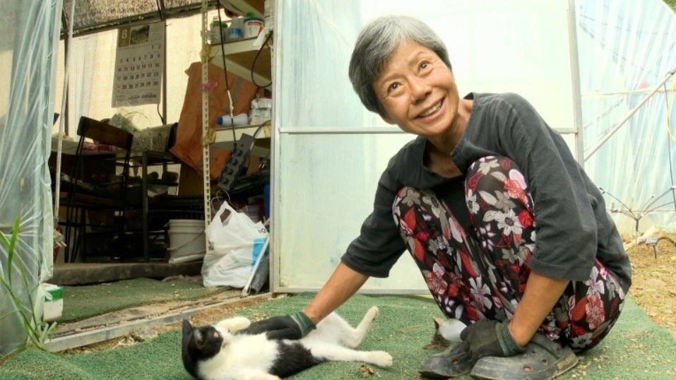 데레사의꽃밭-영천-정데레사