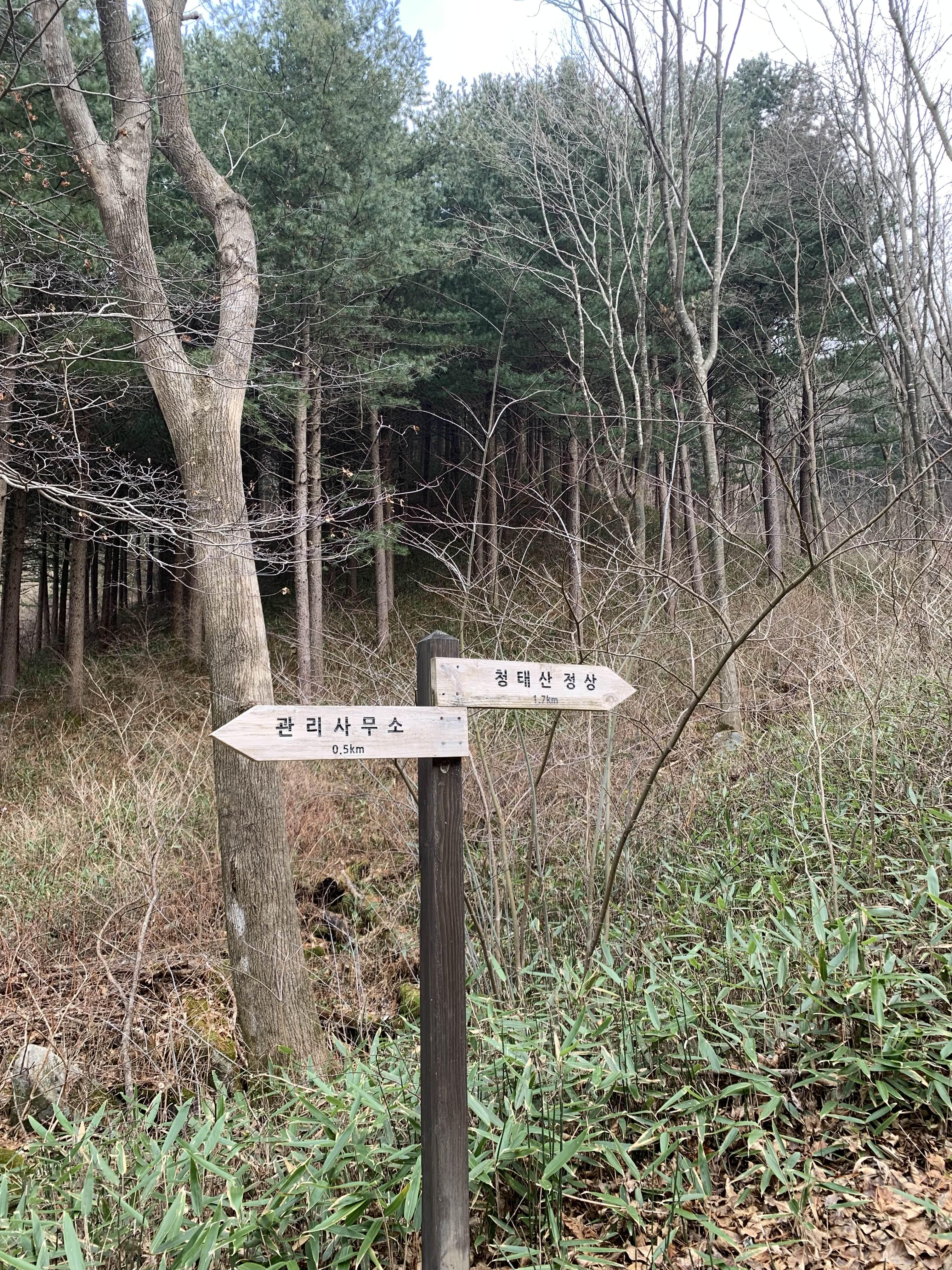 횡성 여행 청태산 자연휴양림 등산