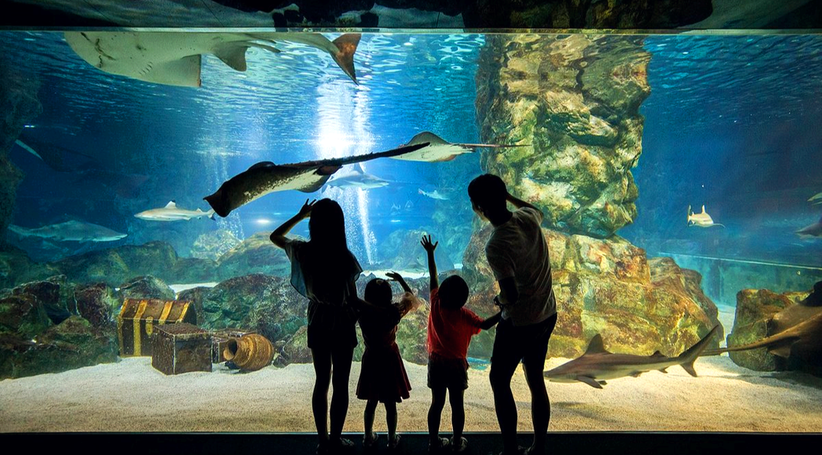 코엑스 아쿠아리움