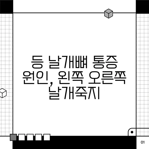 등 날개뼈 통증 원인, 왼쪽 오른쪽 날개죽지