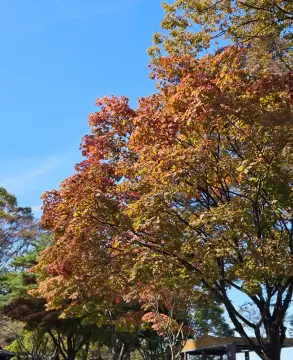 남산타워전망대-남산타워입장료할인