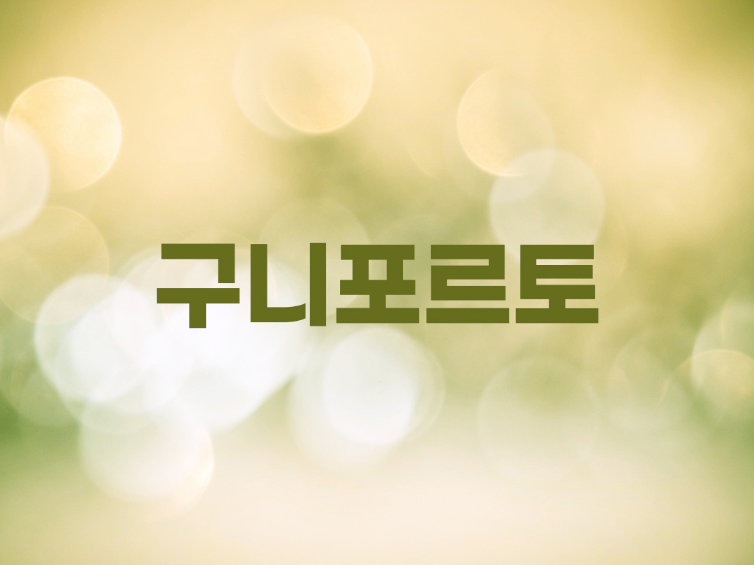 구니포르토 천주교 남자세례명