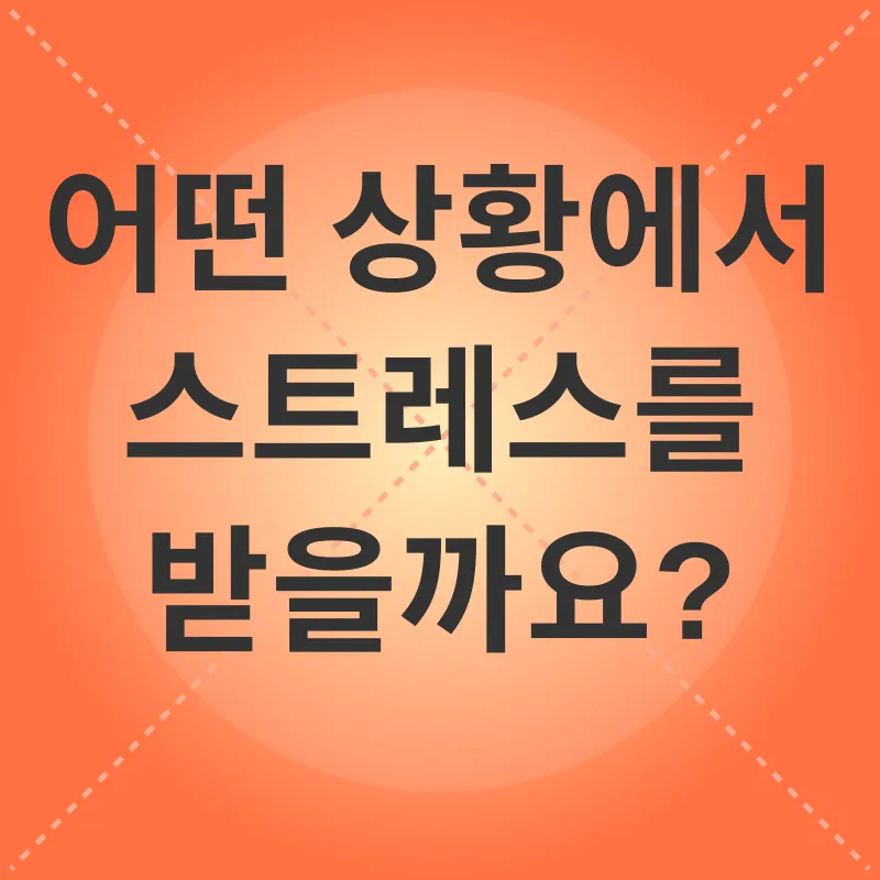 고양이 스트레스 관리_2