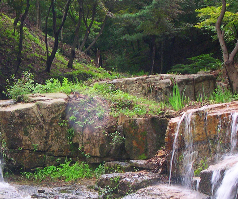 생생정보 택시맛객 남양주 여행 정보 수목원 썰매장 닭볶음탕 능내역