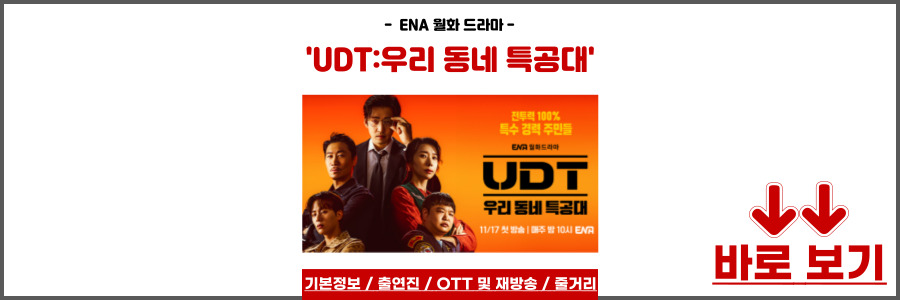 UDT 우리 동네 특공대