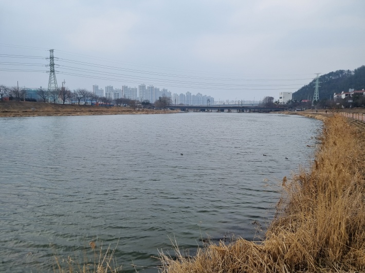 가수원교