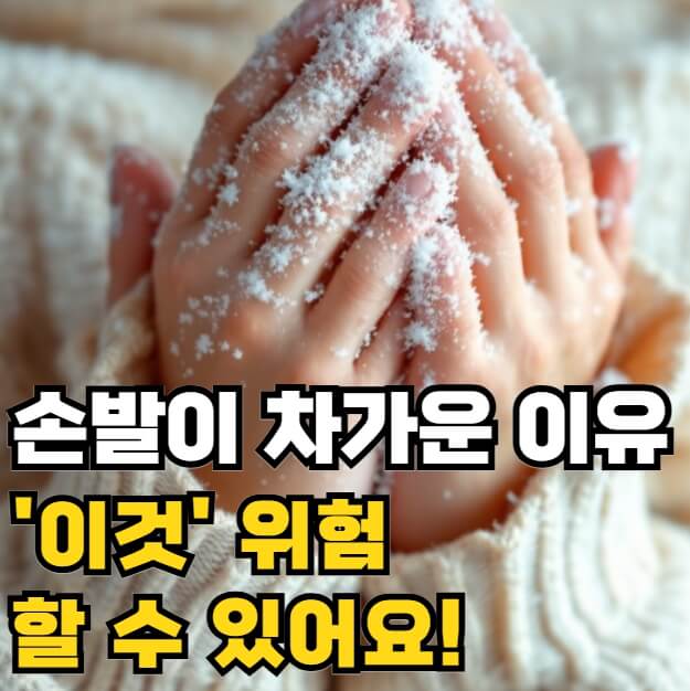 손발이 차가운 이유