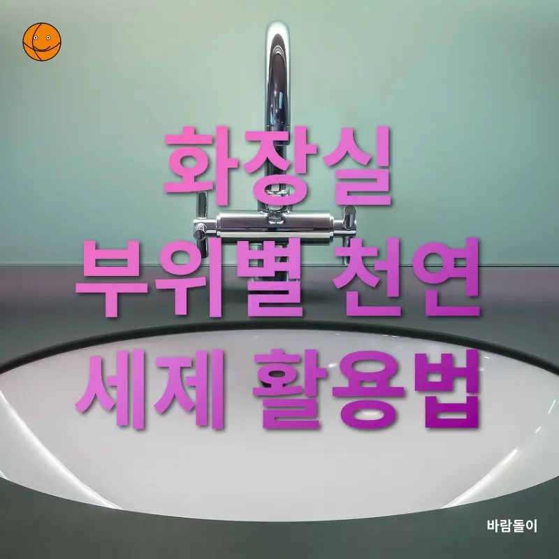 친환경 화장실 청소_2
