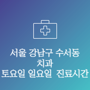 서울 강남구 수서동 치과 주말 토요일 일요일 문여는 병원 진료시간