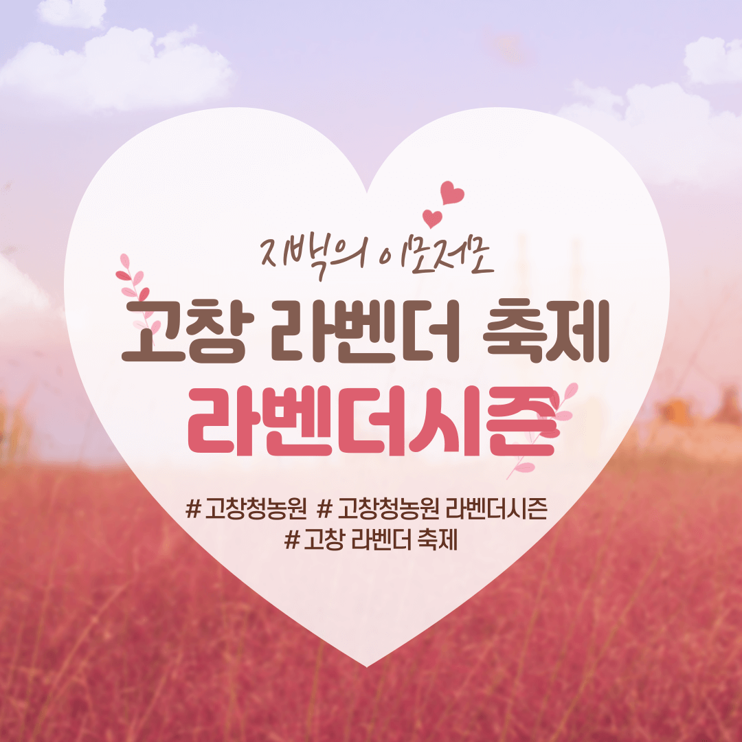 고창청농원 라벤더시즌