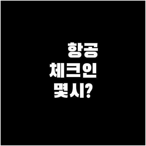 아메리칸항공 체크인 오픈 시간과 준비..