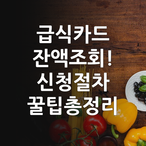 결식아동 급식카드 사용처 잔액 확인 ..