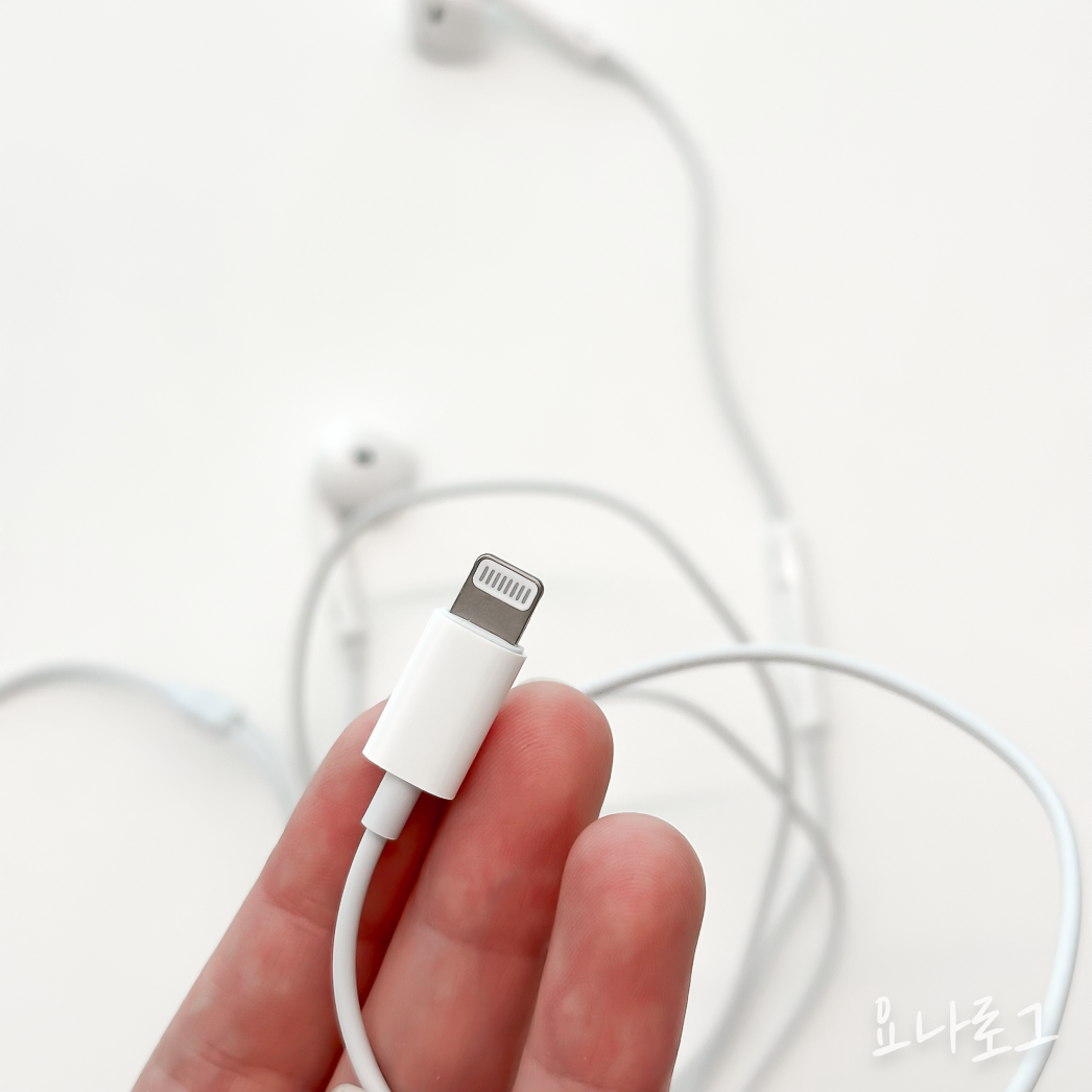 애플 애플이어폰 이어팟 에어팟 애플정품 애플정품이어폰 에어팟프로 이어폰추천 유선이어폰 무선이어폰 유선이어폰추천 무선이어폰추천 애플스토어 애플정품이어팟 애플정품에어팟 이어폰리뷰 내돈내산이어폰 내돈내산아이폰 아이폰 아이폰이어폰 earpods airpods