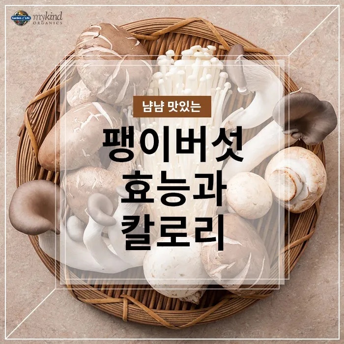 팽이버섯 효능_7