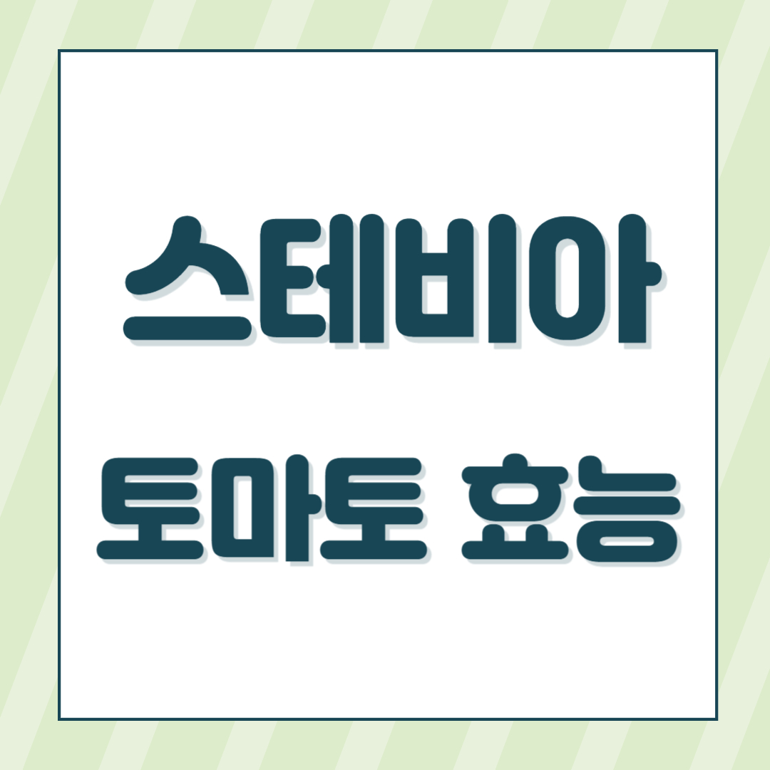 스테비아 방울 토마토 효능