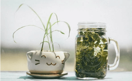 감기에 좋은 음식