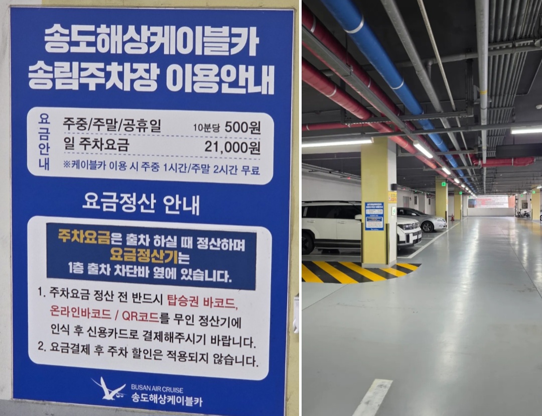 아이와 부산 송도해상케이블카 (주차/캐빈 선택/용궁구름다리)