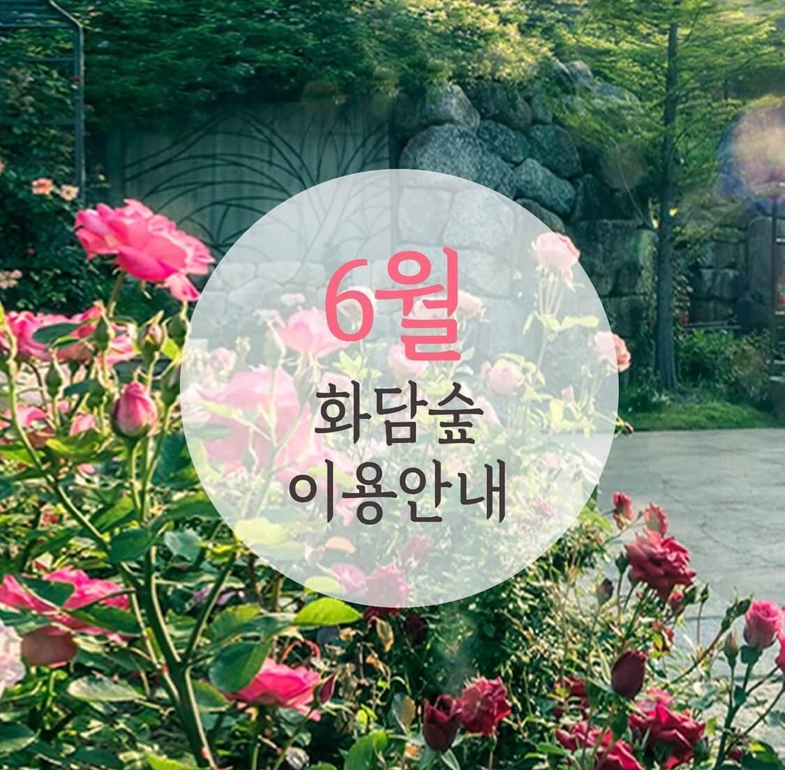 화담숲 모노레일